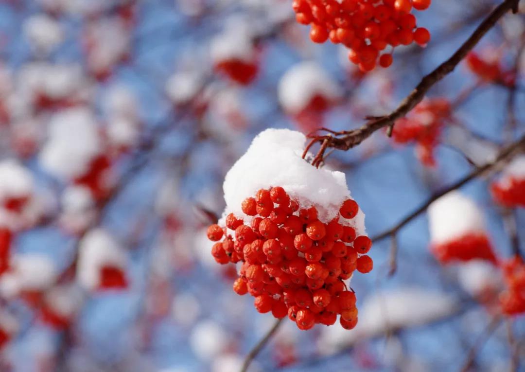 小雪丨初心如雪 绘家青年公寓与你温暖同行(图2)