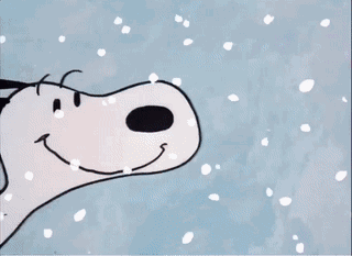 温馨提示丨冰雪路况，这样行车更安全~(图2)