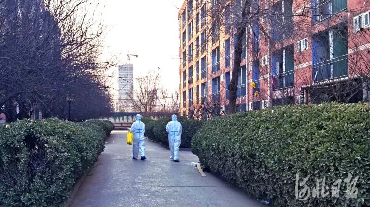 这是河北人的1月日历，真不容易，真了不起！(图43)