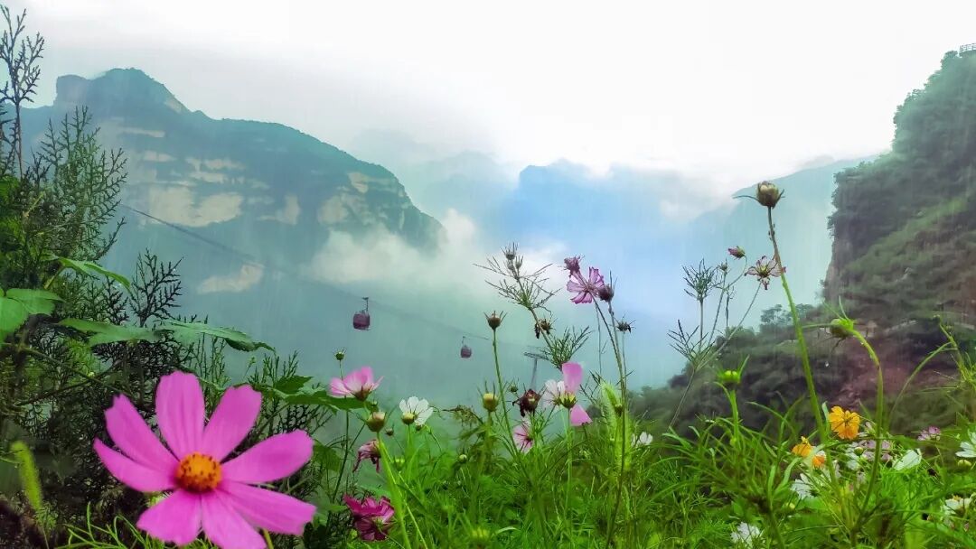 @各位女神 今天河北这些景区门票免费、半价！别错过(图10)