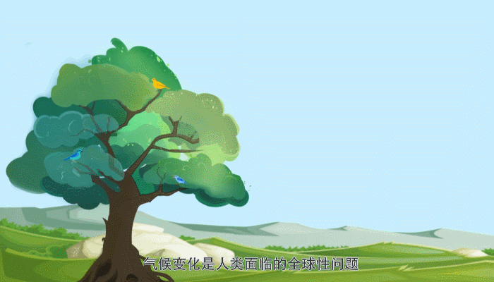 植树节已写入森林法！两会高频词碳达峰、碳中和又是什么意思？(图4)