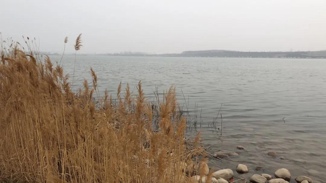 绘家青年公寓员工团建丨徒步踏青，不负春日好时光(图1)