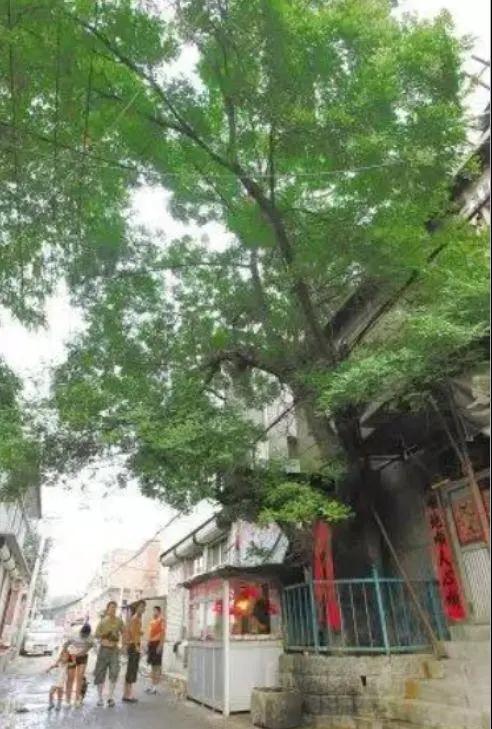 石家庄北宋站成“穿越打卡地”？其实，历史上的它是这样的……(图6)