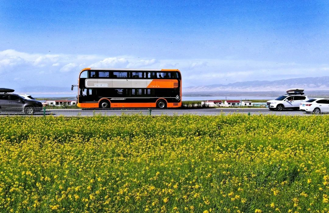 公布了！继续免费！(图2)