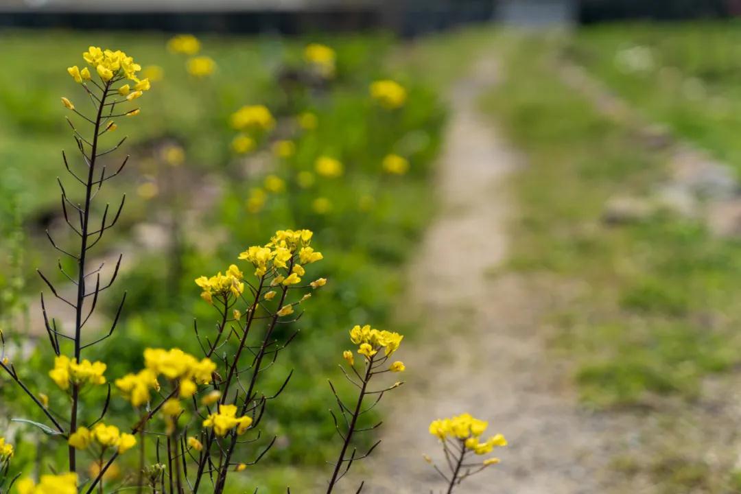 公布了！继续免费！(图6)