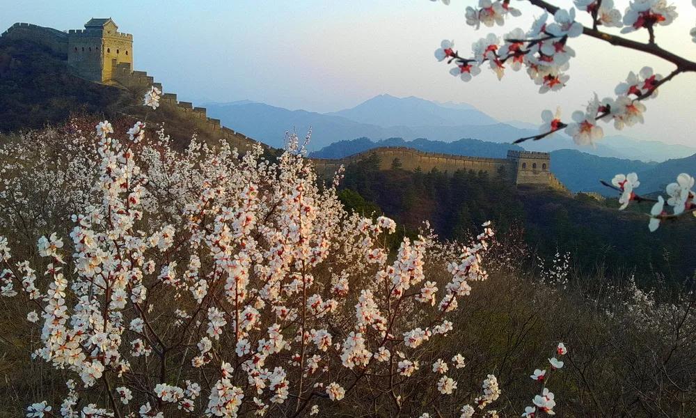 放假通知！(图6)