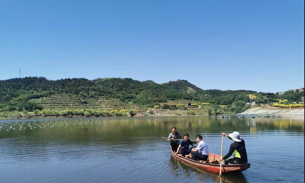 放假通知！(图8)