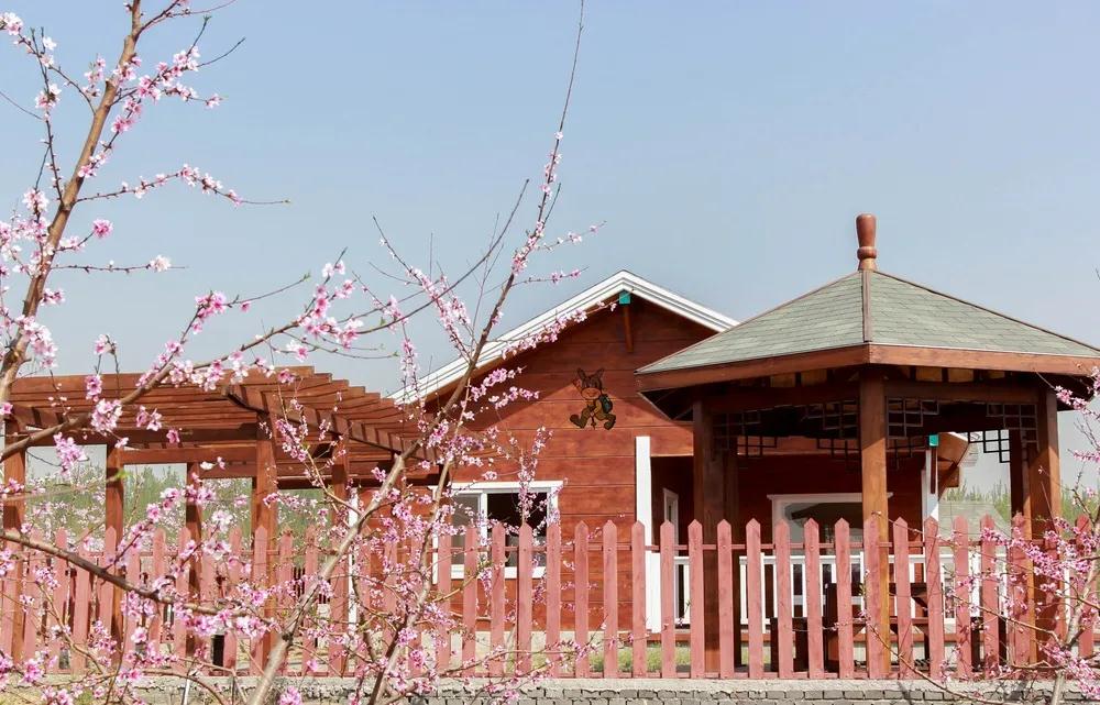 放假通知！(图9)