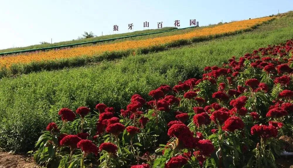 放假通知！(图12)