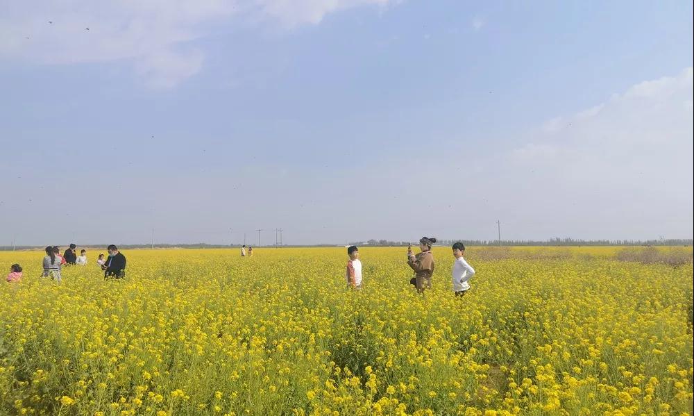 放假通知！(图14)