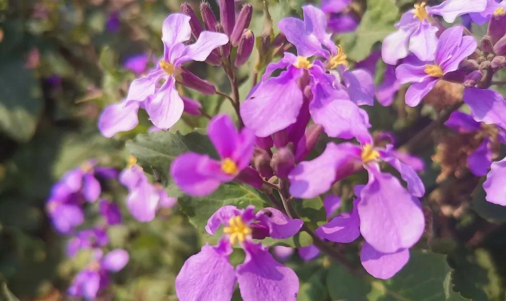 放假通知！(图15)