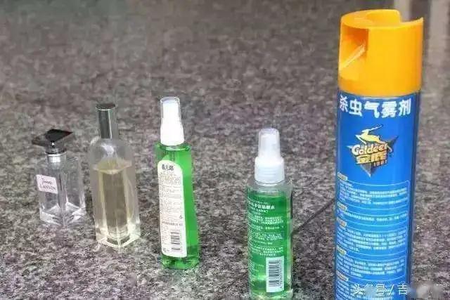 石家庄，又“火”了……(图5)