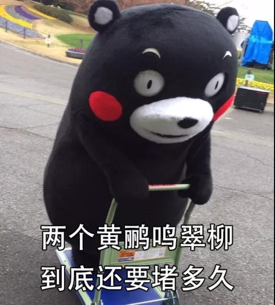 紧急提醒！石家庄人注意，明早请提前半小时出门！(图14)